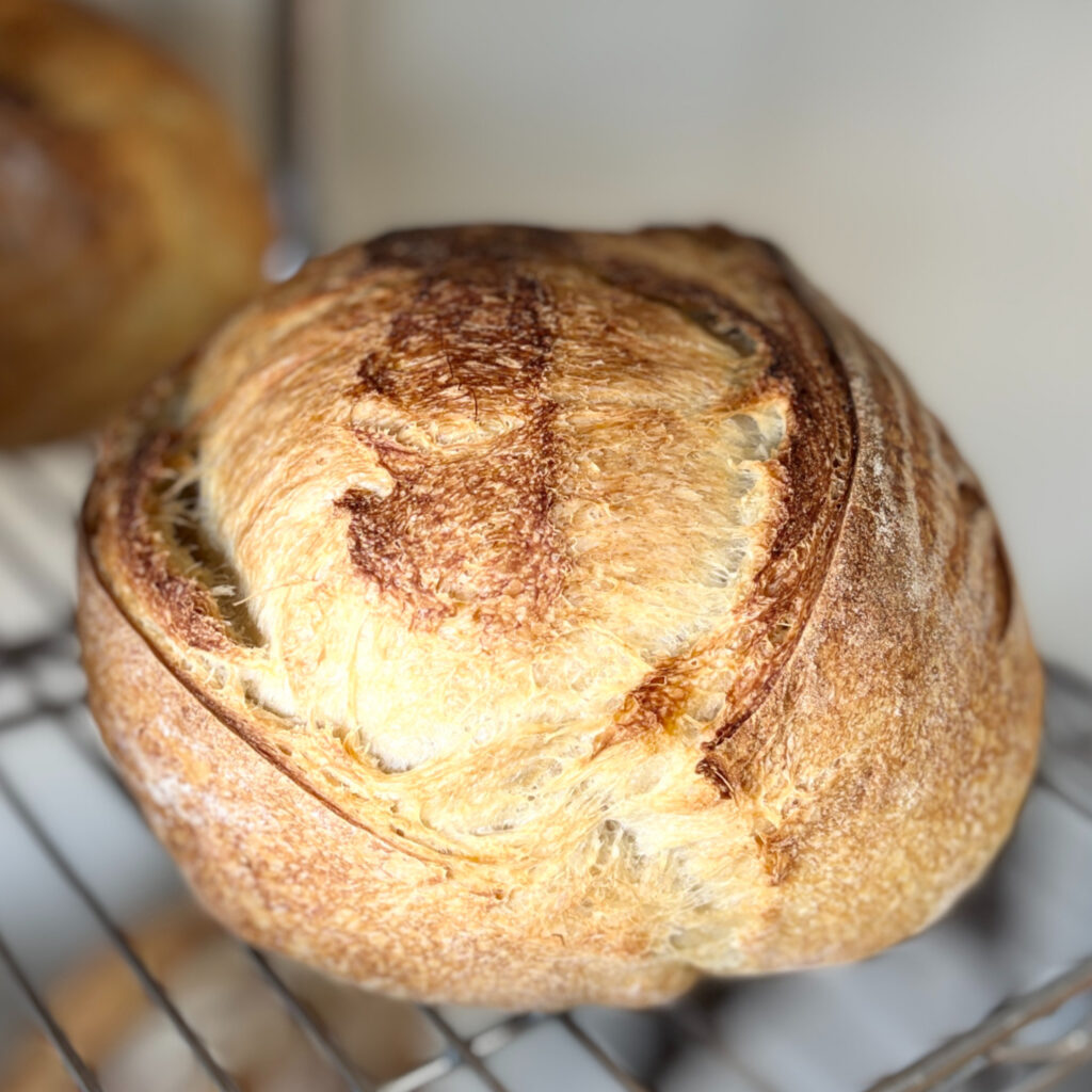 Country Sourdough, 800 g