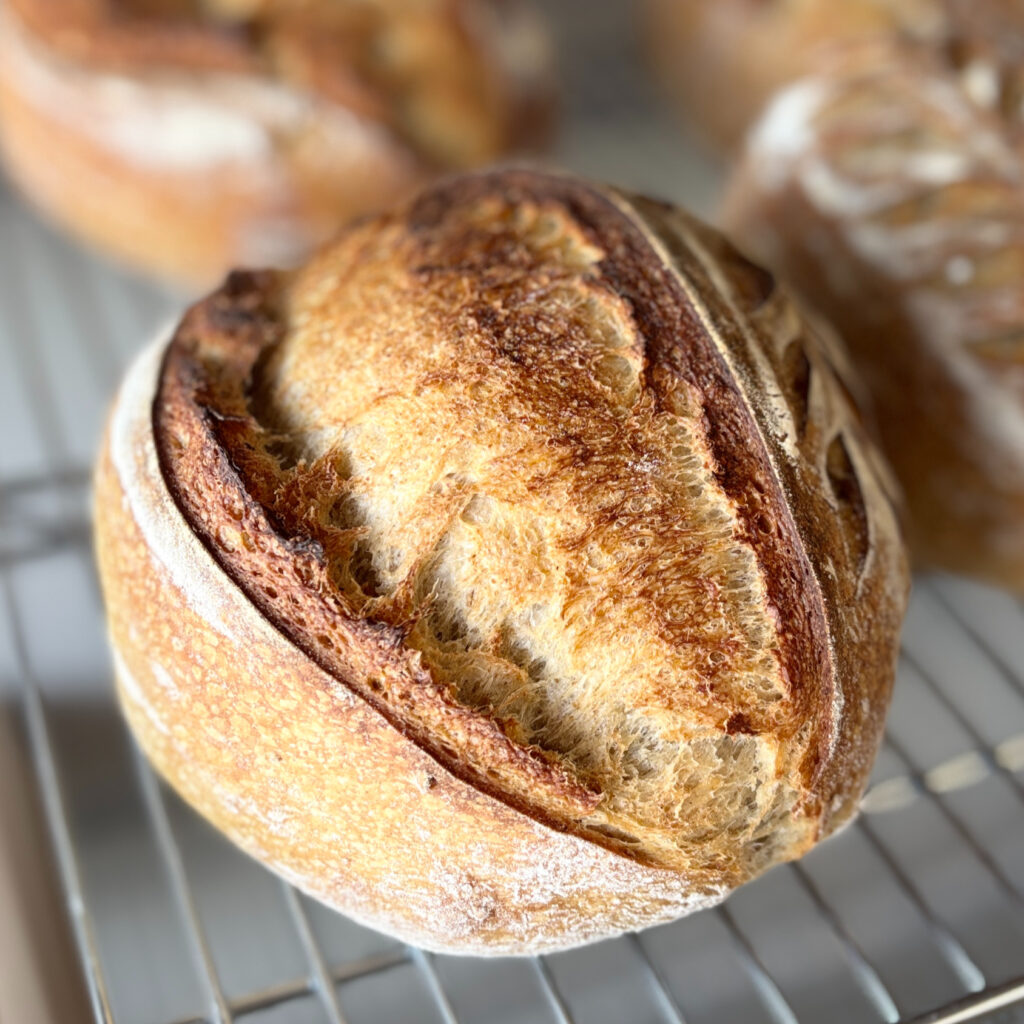 Light Rye Sourdough